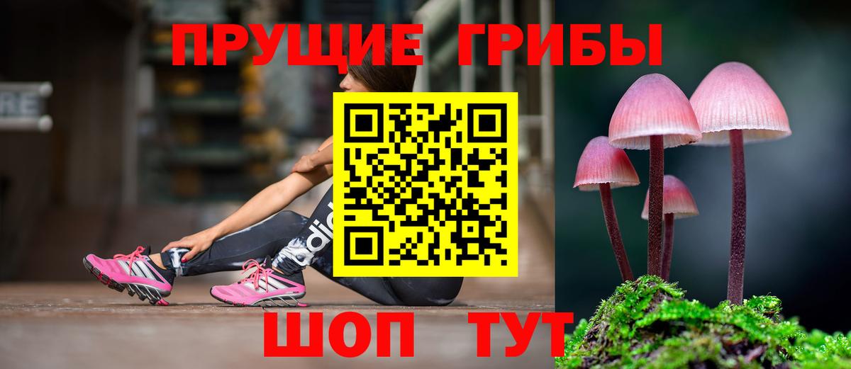 Псилоцибиновые грибы мицелий Лесосибирск